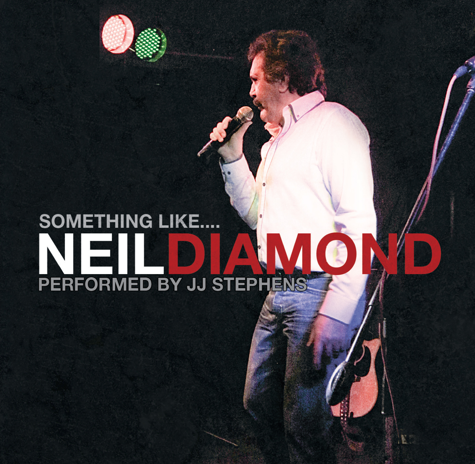 Something Like Neil Diamond